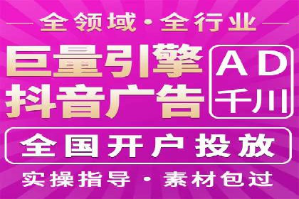百度竞价排名机制：成功案例与策略探讨